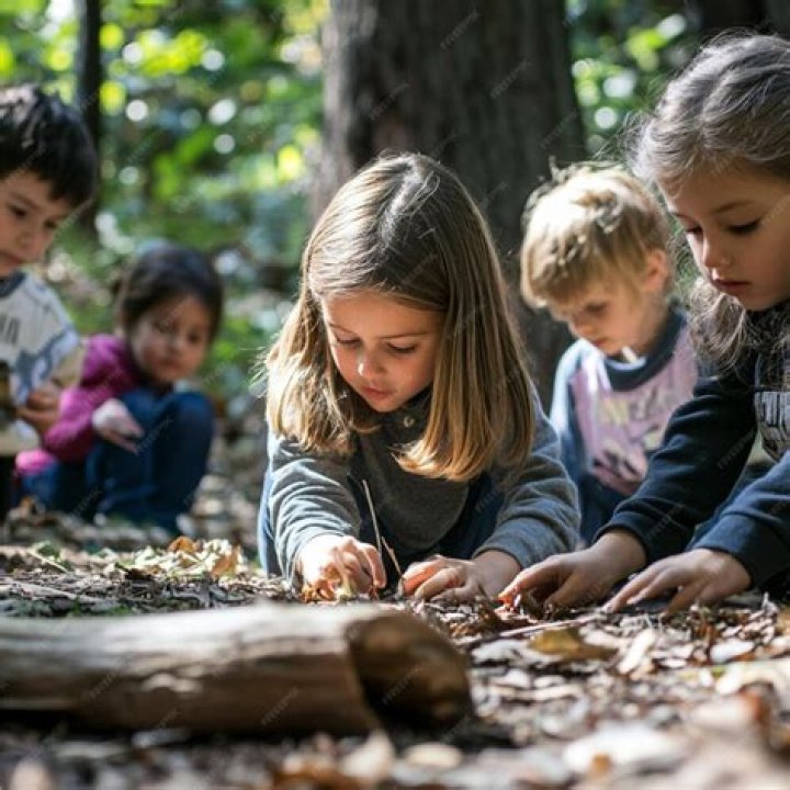 Bushwoods: Exploring the Natural Beauty and Adventure Awaits