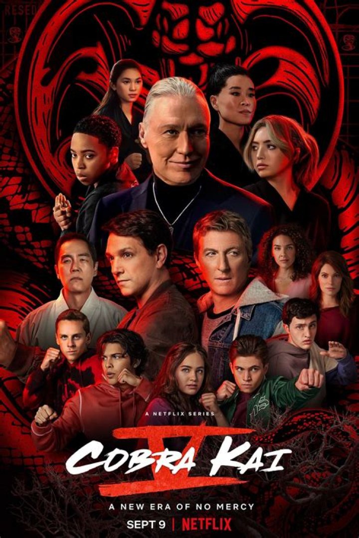 Cobra Kai Actors: The Ultimate Guide to the Stars Behind the Series