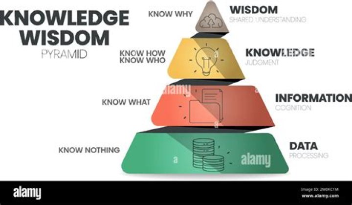 HDHIN4U: Your Ultimate Guide to Understanding and Utilizing HDHIN4U
